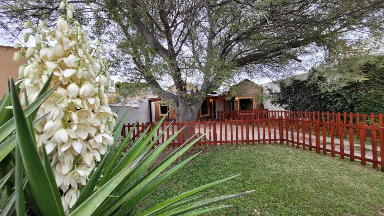 El Patio Del Aromo Apartamento Puerto Madryn Exterior foto